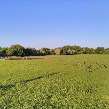 Castletownmoor Clinic & Permaculture Farm Hotell Kells  Eksteriør bilde