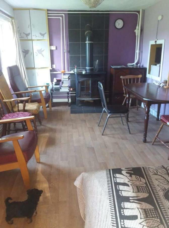 Castletownmoor Clinic & Permaculture Farm Hotell Kells  Eksteriør bilde
