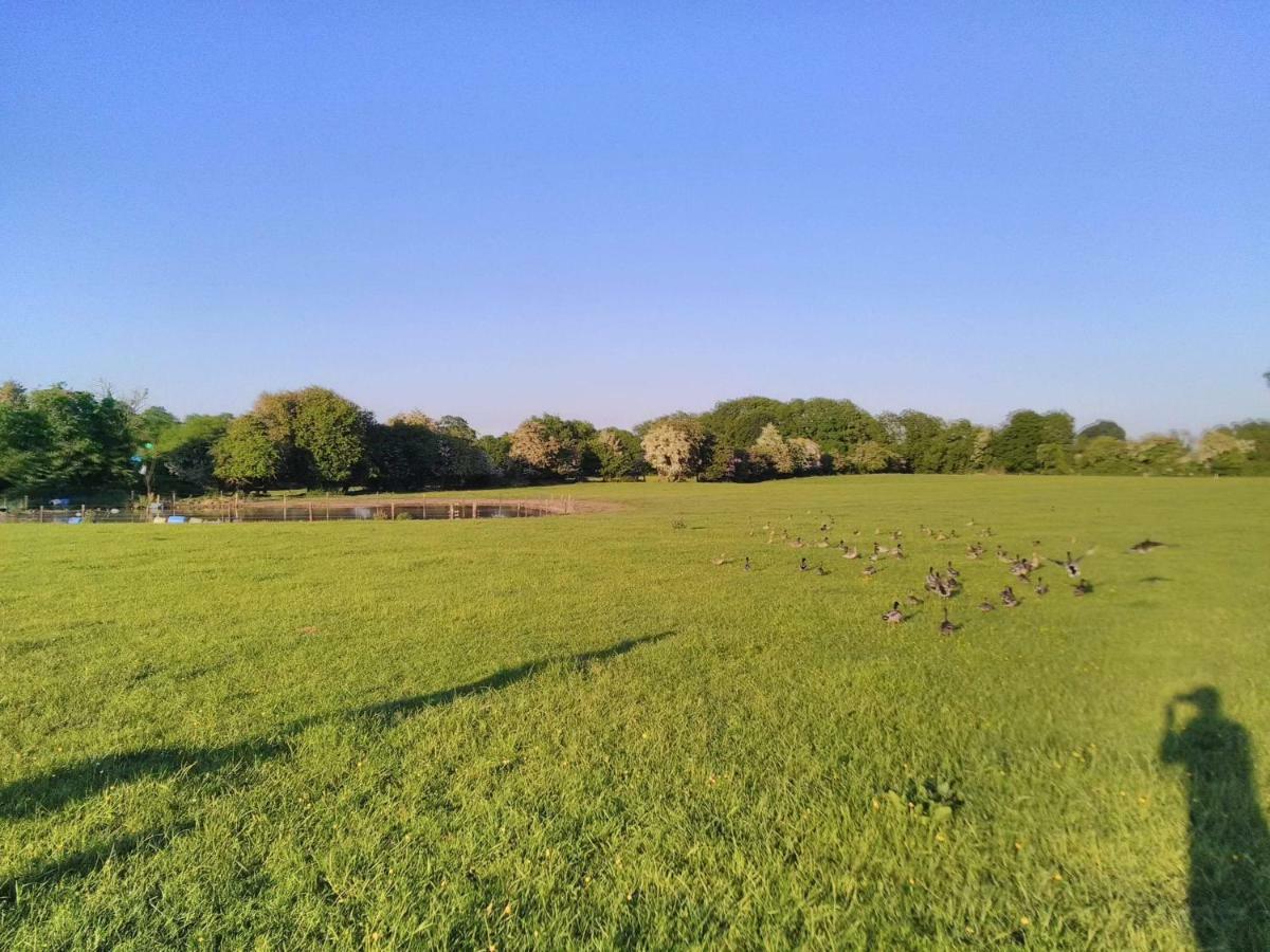 Castletownmoor Clinic & Permaculture Farm Hotell Kells  Eksteriør bilde