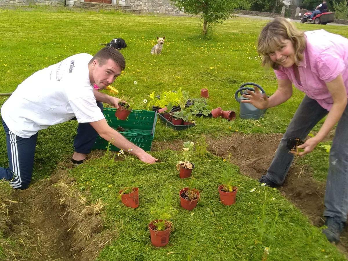 Castletownmoor Clinic & Permaculture Farm Hotell Kells  Eksteriør bilde